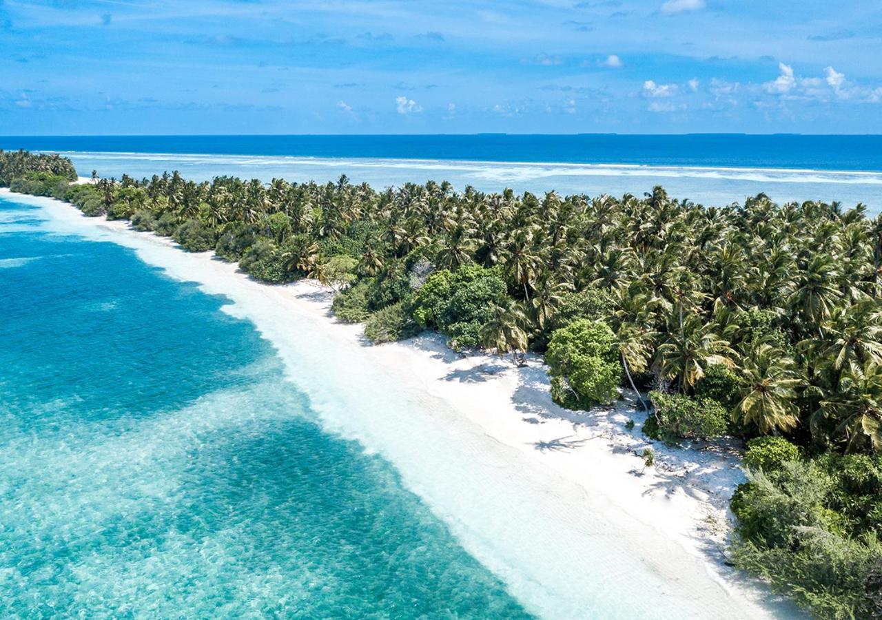 Tropical Tree Hotell Fehendhoo Eksteriør bilde